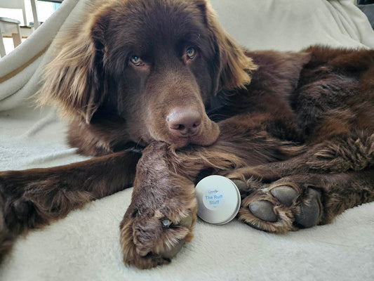 The Ruff Stuff