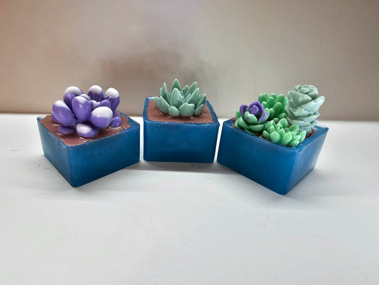 Soap-ulents