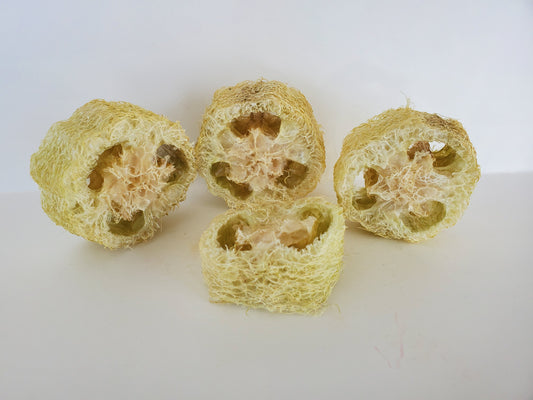 Natural Loofah